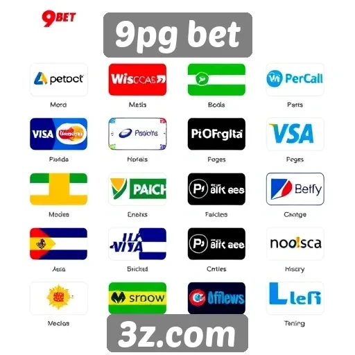 Variedade de métodos de pagamento no 9pg bet
