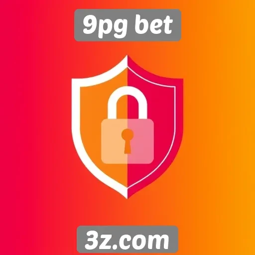 Como 9pg bet garante segurança nas transações